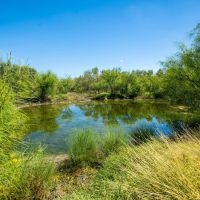 Southwest Star Ranch images 2