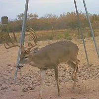 Southwest Star Ranch images 5