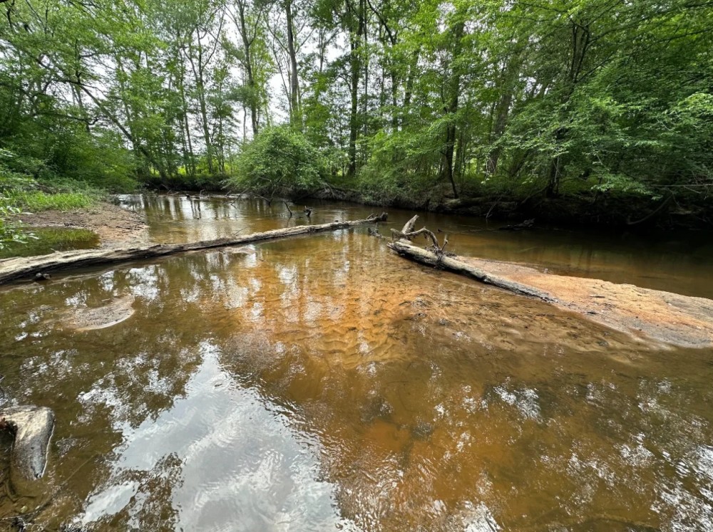 Majestic Hardwood Bottoms Along Patsiliga Creek Near Reynolds featured image