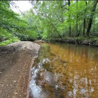 Majestic Hardwood Bottoms Along Patsiliga Creek Near Reynolds images 2
