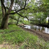Majestic Hardwood Bottoms Along Patsiliga Creek Near Reynolds images 4