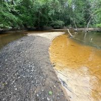 Majestic Hardwood Bottoms Along Patsiliga Creek Near Reynolds images 5