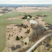 Impeccable rolling farmland in Cooper County Property images 5