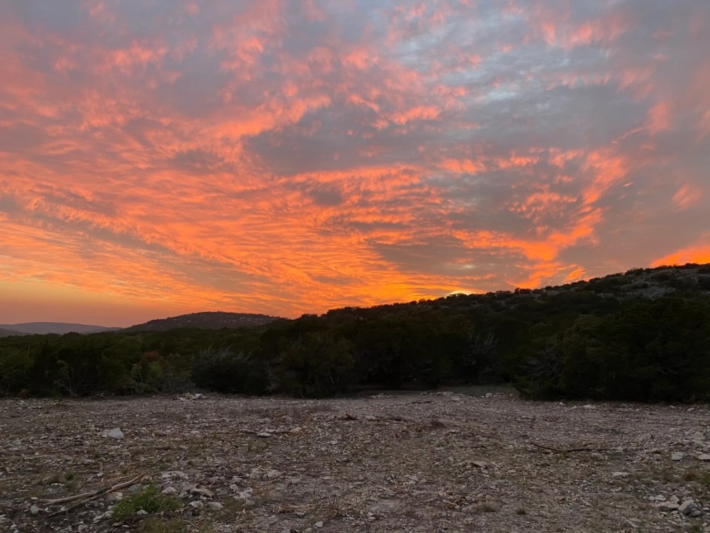 98 Acre Property in Rocksprings TX featured image