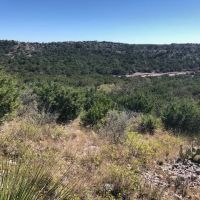 98 Acre Property in Rocksprings TX images 4