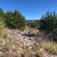 98 Acre Property in Rocksprings TX images 5