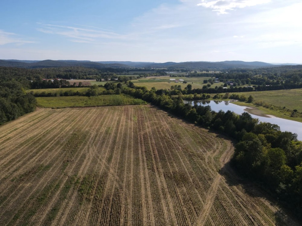 695 - Acres in Woodville featured image