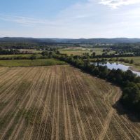 695 - Acres in Woodville