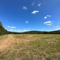 695 - Acres in Woodville images 2
