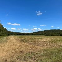 695 - Acres in Woodville images 4