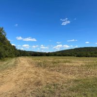 695 - Acres in Woodville images 5