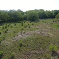 Early ISD acreage images 3