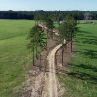 489 - Acres Sam Graham Road Jefferson Davis County Prentiss MS Area