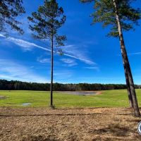 489 - Acres Sam Graham Road Jefferson Davis County Prentiss MS Area images 3