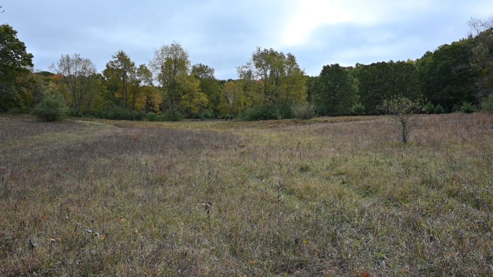Big Buck Property in Mecosta County Michigan featured image