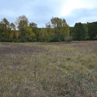 Big Buck Property in Mecosta County Michigan
