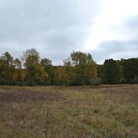 Big Buck Property in Mecosta County Michigan images 2
