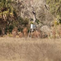 Knight Taylor Ranch - North Tract images 3