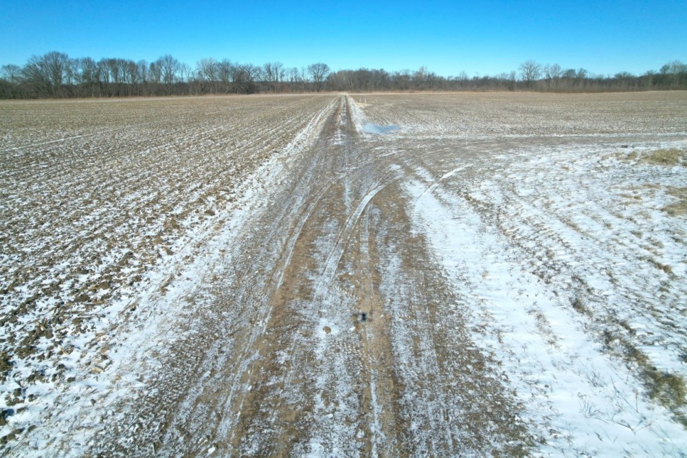 Collins featured image