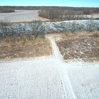 Collins images 3