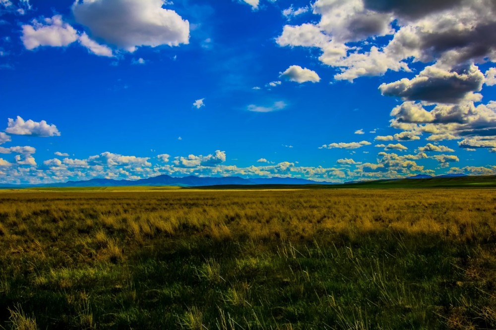 Little Muddy Creek Ranch featured image