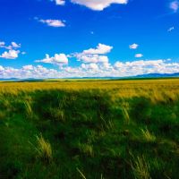 Little Muddy Creek Ranch images 5