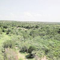 Hunting Recreational Ranch For Sale Val Verde County TX images 3