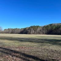 48 Acres in Lafayette County MS images 3