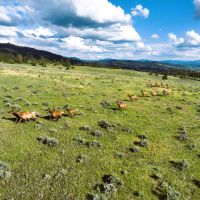 Heaven s Gate on the John Day River images 2