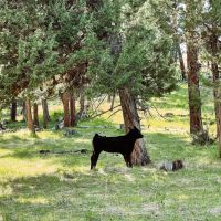 Heaven s Gate on the John Day River images 5