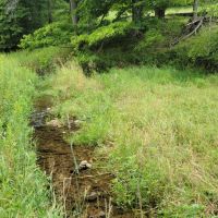 20 Acre Remote Destination Near Norwalk Wisconsin images 3