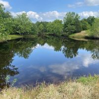 Holman 160 images 1
