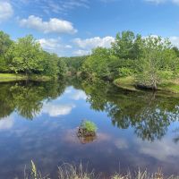 Holman 160 images 2