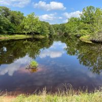 Holman 160 images 3