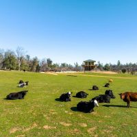 Reese Reservoir Ranch images 4