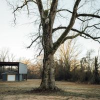 25 Acres with a Home in Tallahatchie County MS images 2