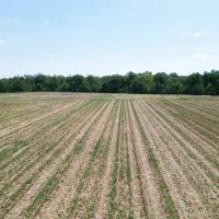 LA - Caldwell 22 acres - images 4