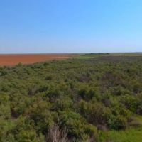 160 AC in Tarzan America