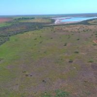 160 AC in Tarzan America images 2