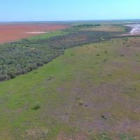 160 AC in Tarzan America images 3