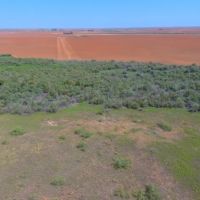 160 AC in Tarzan America images 4