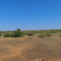 160 AC in Tarzan America images 5