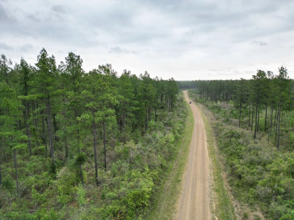 LA - Caldwell 80 acres - featured image