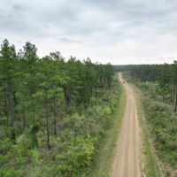LA - Caldwell 80 acres -