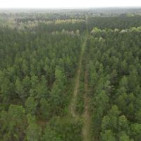 LA - Caldwell 80 acres - images 2