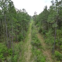 LA - Caldwell 80 acres - images 3