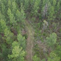 LA - Caldwell 80 acres - images 5