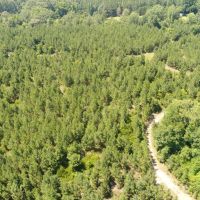109 - ac Crenshaw Co images 2