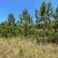 109 - ac Crenshaw Co images 3
