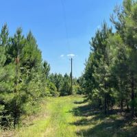 109 - ac Crenshaw Co images 4